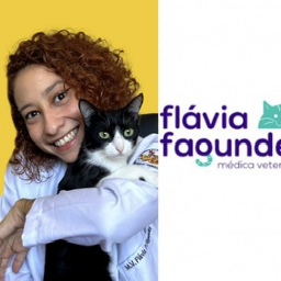 Flávia P Fagundes